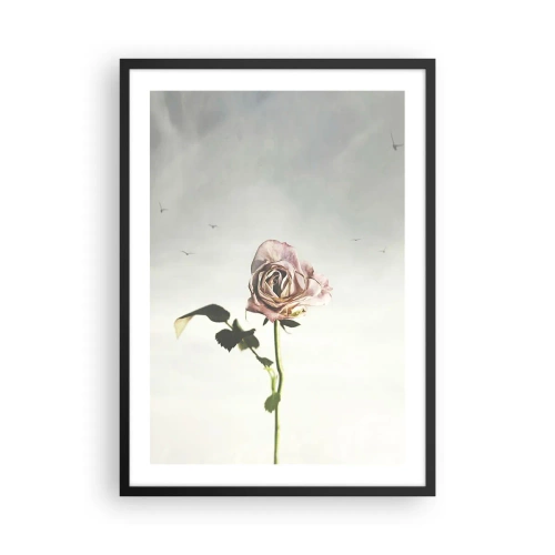 Poster in einem schwarzem Rahmen - Eine zarte Rose vor einem zarten Himmel - 50x70cm - Begrüßung des Frühlings - Moderne Wanddekoration für Wohnzimmer und Schlafzimmer ARTTOR