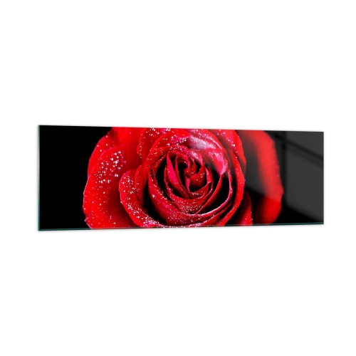 Glasbild - Bild auf glas - Eine rote Rose mit Tautropfen auf schwarzem Hintergrund. - 160x50cm - Das ist Liebe - Moderne Wanddekoration für Wohnzimmer und Schlafzimmer ARTTOR
