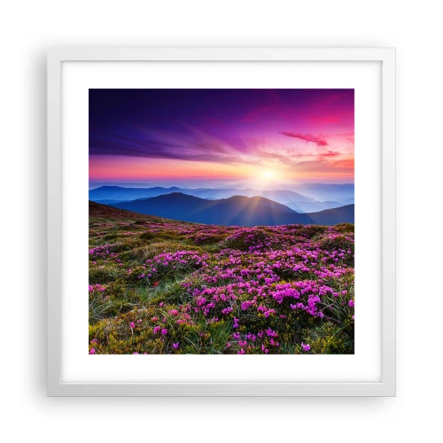 Poster in einem weißen Rahmen - Kräuter dufteten nach frischen Trauben von den Feldern - 40x40 cm