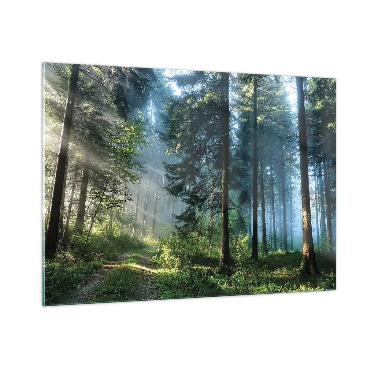 Glasbild - Bild auf glas - Ein Waldweg im Morgennebel zwischen hohen Bäumen - 100x70cm - Strahlend am Morgen - Moderne Wanddekoration für Wohnzimmer und Schlafzimmer ARTTOR