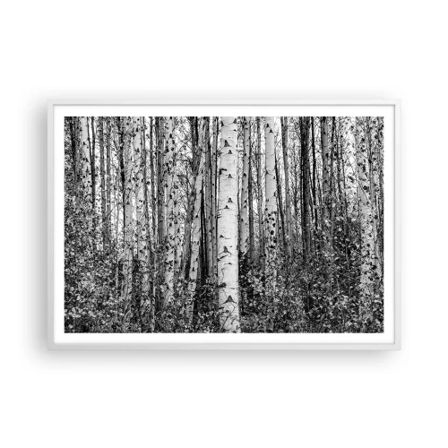 Poster in einem weißen Rahmen - Birkenkolonnade - 100x70 cm