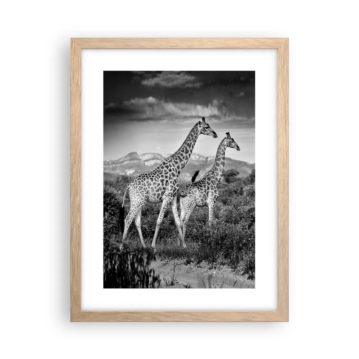 Poster in einem Rahmen aus heller Eiche - Hohe Sphären in Afrika - 30x40 cm