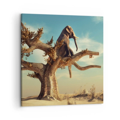 Bild auf Leinwand - Leinwandbild - Ein neuer Standpunkt - 50x50 cm