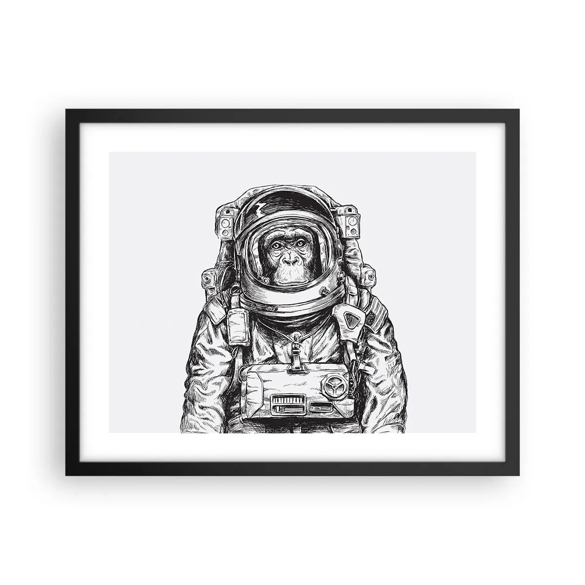 Poster in einem schwarzem Rahmen - Alternative Evolution - 50x40 cm