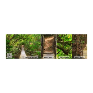 Fototapeten Muster Selbstklebend Deluxe Sticker - Denn im Garten gibt es eine Schlingpflanze - Landschaft, Wald, Natur - 100x30 cm