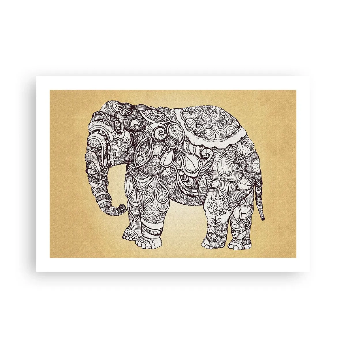 Poster - Elefant verhüllte sich - 70x50 cm
