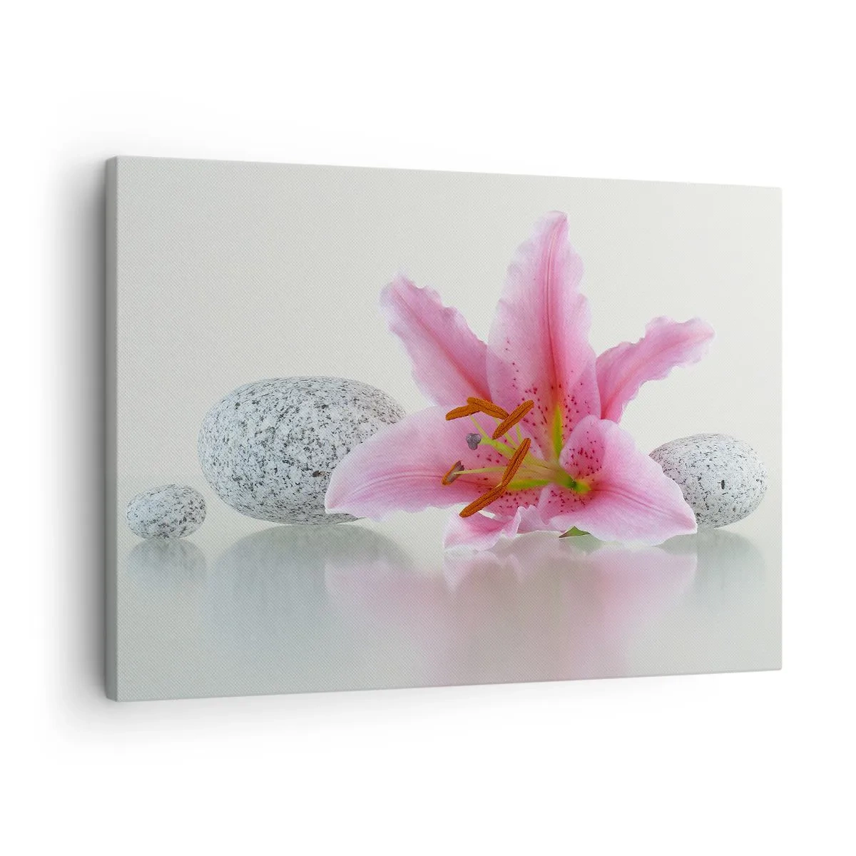 Bild auf Leinwand - Leinwandbild - Rosa Lilienblüte mit Steinen auf hellem Hintergrund - 70x50cm - Eine Studie in Pink, Grau und Weiß - Moderne Wanddekoration für Wohnzimmer und Schlafzimmer ARTTOR