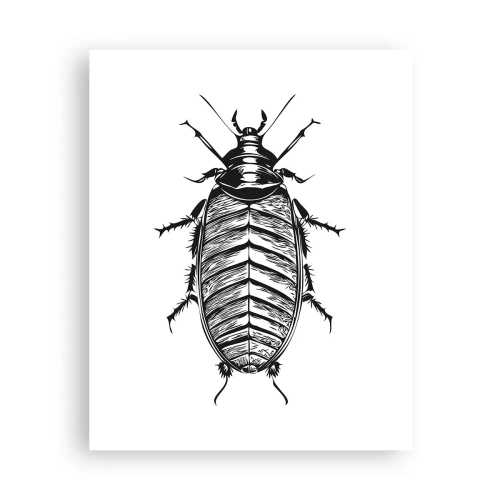 Poster - Was für ein Exemplar! - 40x50 cm