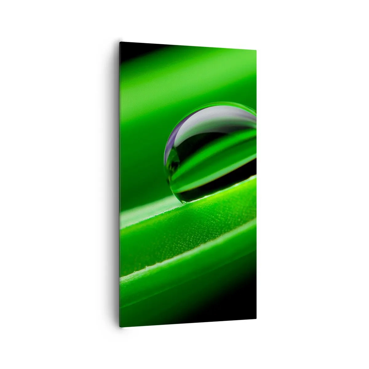 Bild auf Leinwand - Leinwandbild - Leben hautnah - 65x120 cm