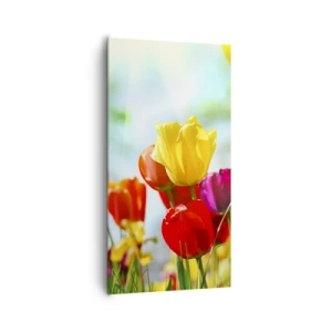 Bild auf Leinwand - Leinwandbild - Alle Farben der Sonne - 65x120 cm