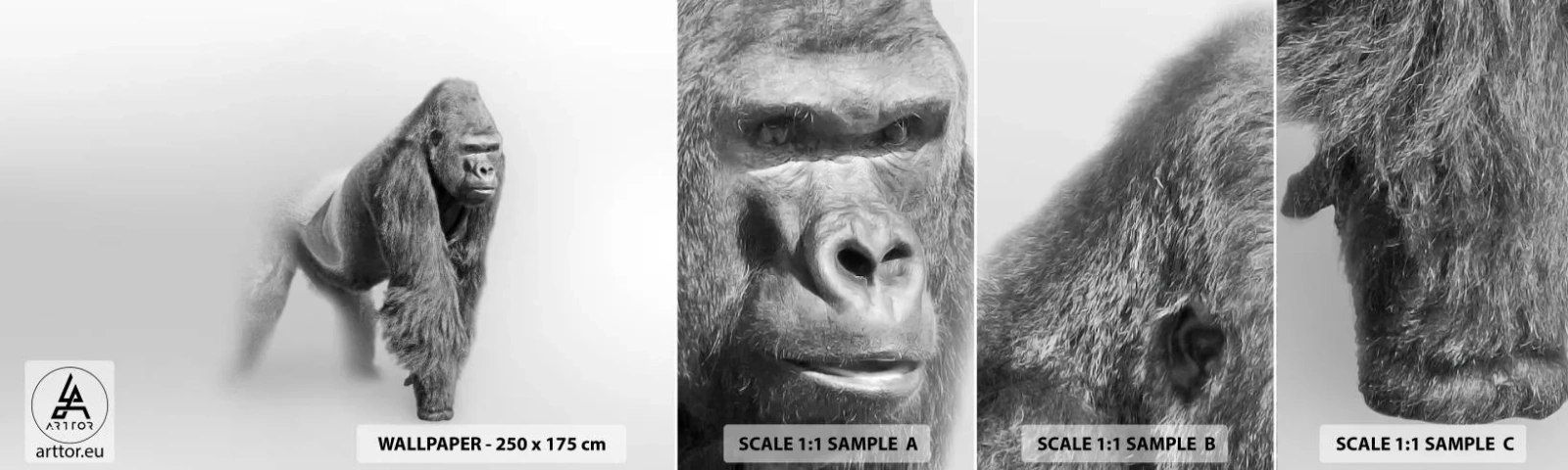 Fototapeten Muster Selbstklebend Deluxe Sticker - Zuversichtlich in seiner Stärke - Tiere, Gorilla, Affe - 100x30 cm