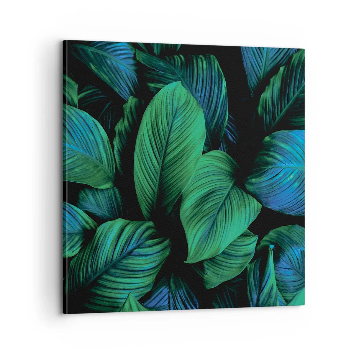 Bild auf Leinwand - Leinwandbild - In der grünen Menge - 60x60 cm