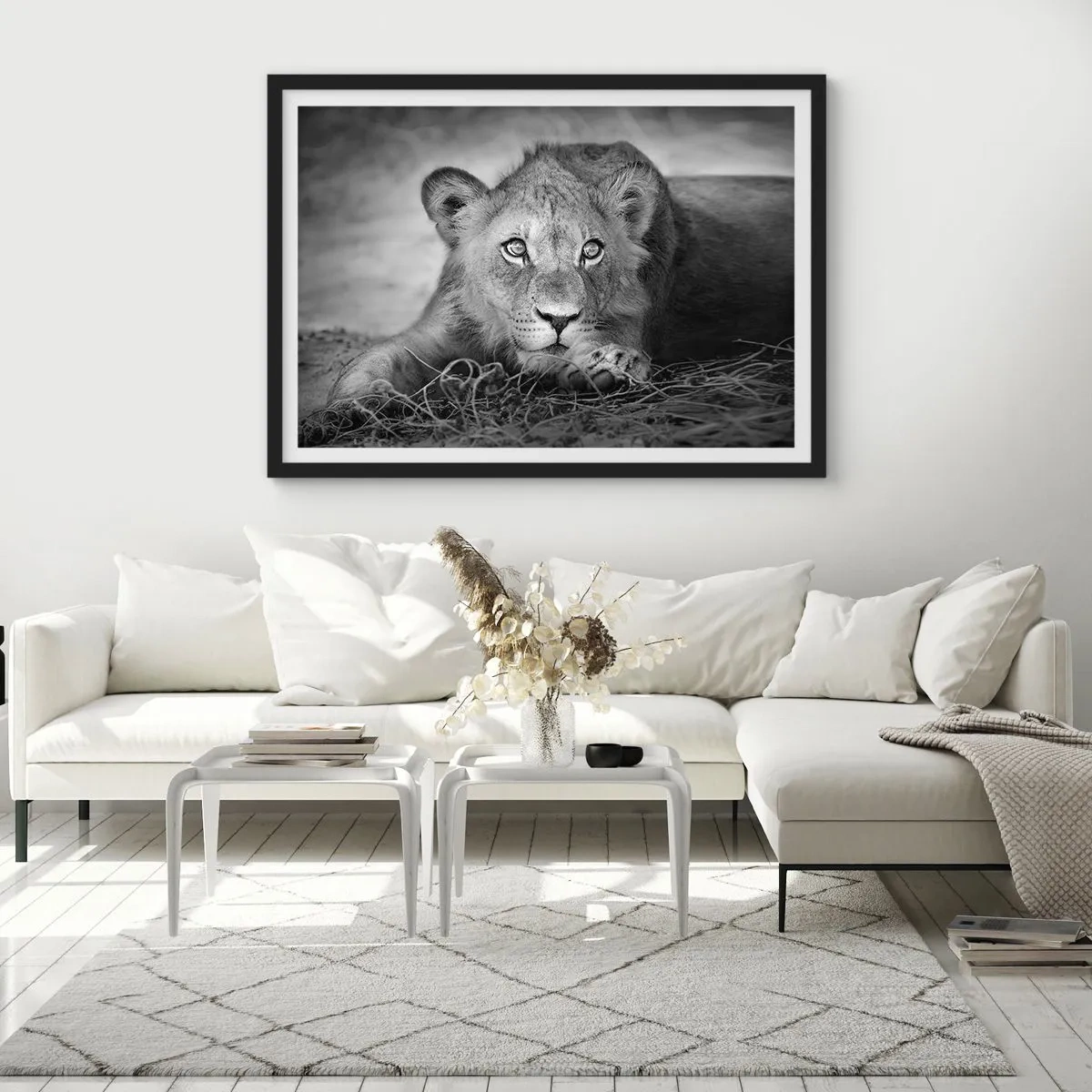 Poster in einem schwarzem Rahmen - Monochromes Porträt eines liegenden jungen Löwen - 70x50cm - Königlicher Welpe - Moderne Wanddekoration für Wohnzimmer und Schlafzimmer ARTTOR