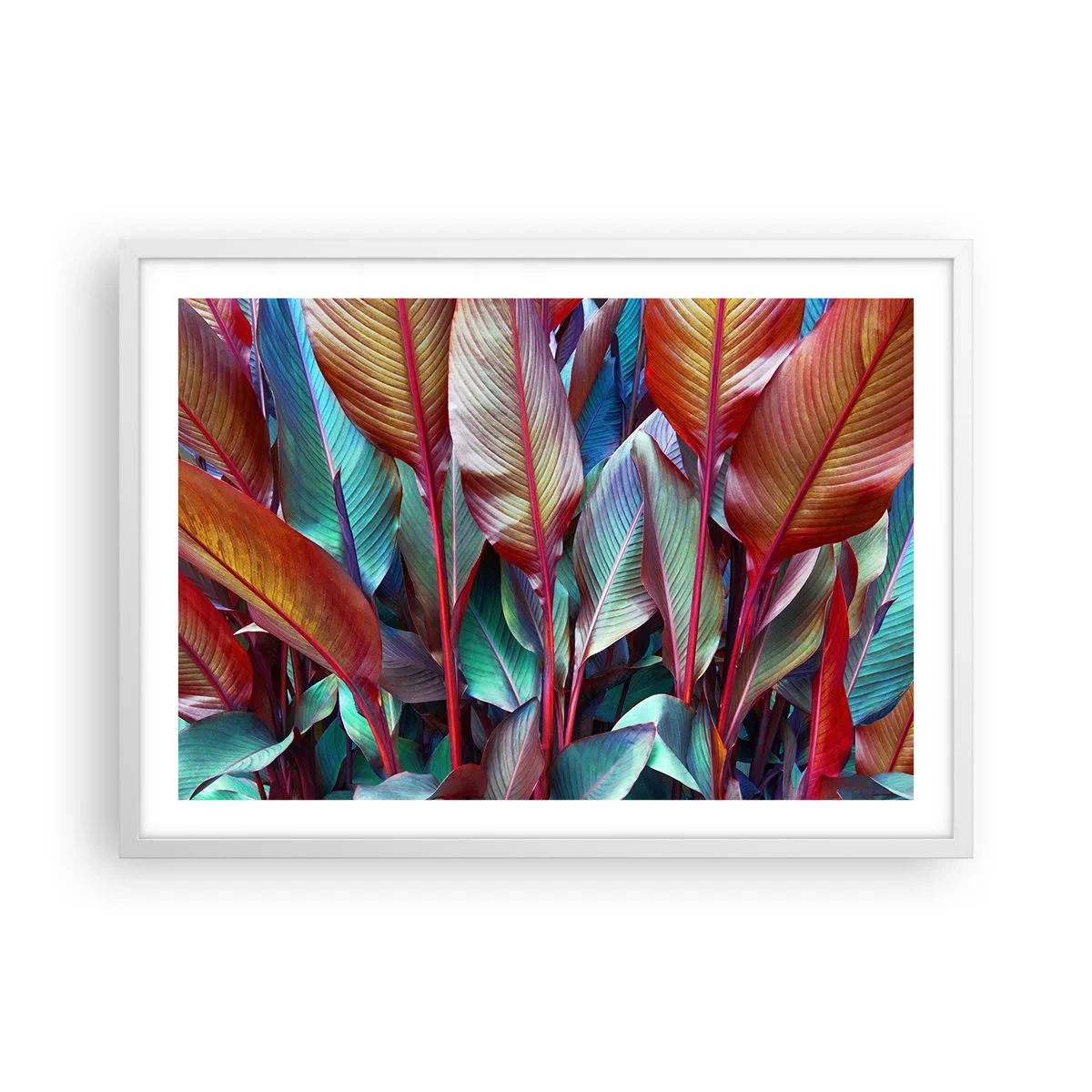 Poster in einem weißen Rahmen - Buntes Dickicht - 70x50 cm