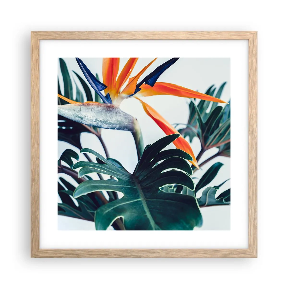 Poster in einem Rahmen aus heller Eiche - Vogelbusch - 40x40 cm