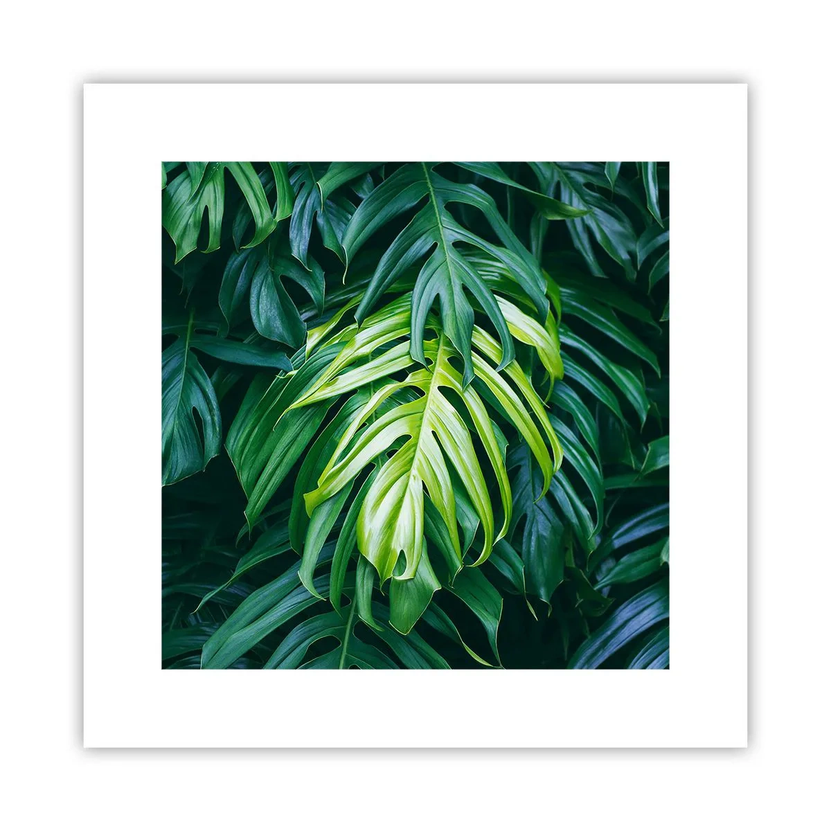 Poster - Tauchen Sie ein in die Frische - 30x30 cm