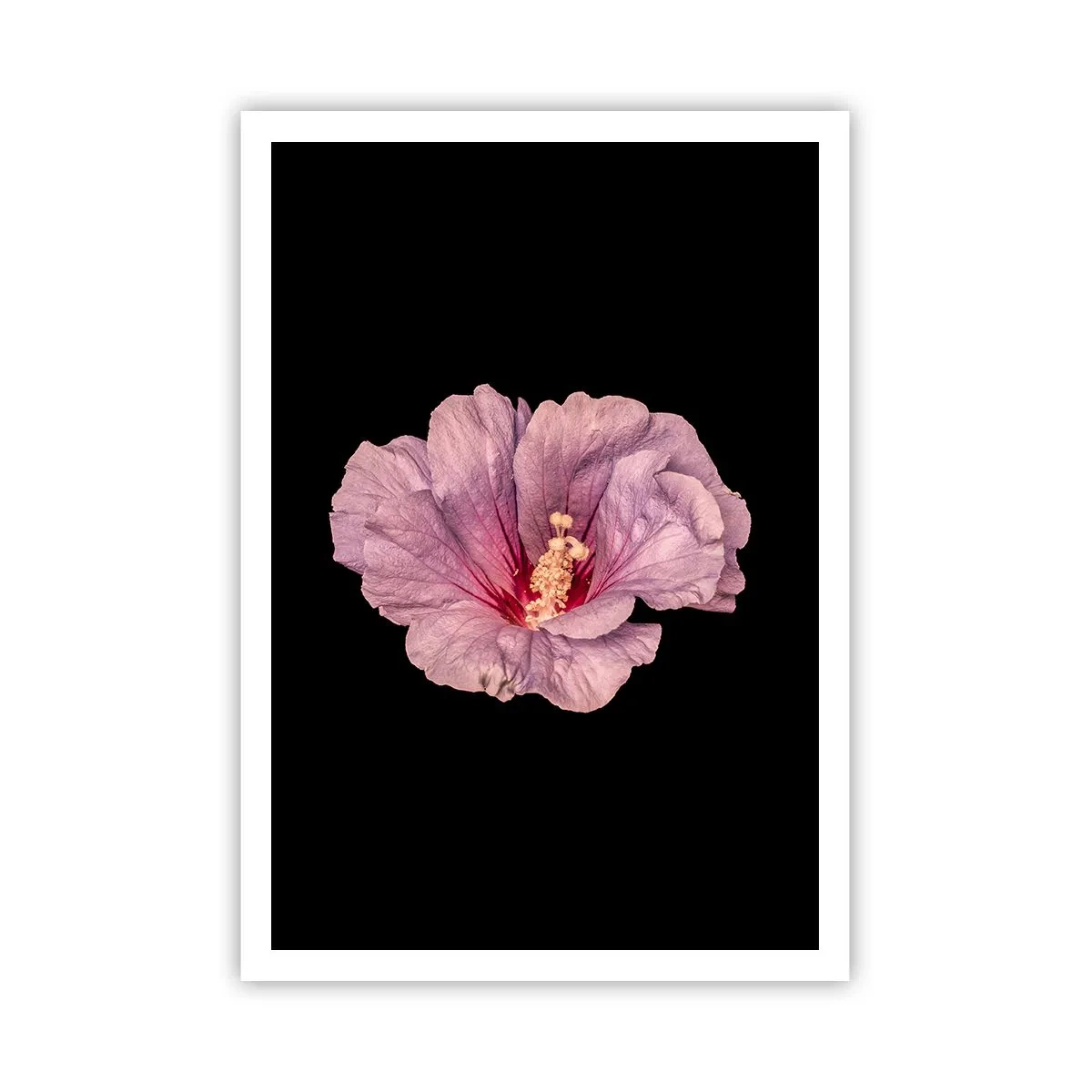 Poster - Direkt ins Herz - 70x100 cm