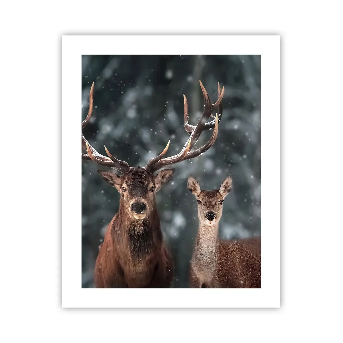 Poster - Herr des Waldes mit seiner Frau - 40x50 cm