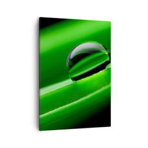 Bild auf Leinwand - Leinwandbild - Nahaufnahme eines Tautropfens auf einem grünen Blatt - 50x70cm - Leben hautnah - Moderne Wanddekoration für Wohnzimmer und Schlafzimmer ARTTOR
