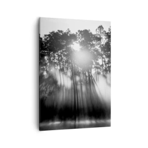 Bild auf Leinwand - Leinwandbild - Schwarz-weißer Wald im Morgennebel - 50x70cm - Unaufhaltsame Sonne - Moderne Wanddekoration für Wohnzimmer und Schlafzimmer ARTTOR