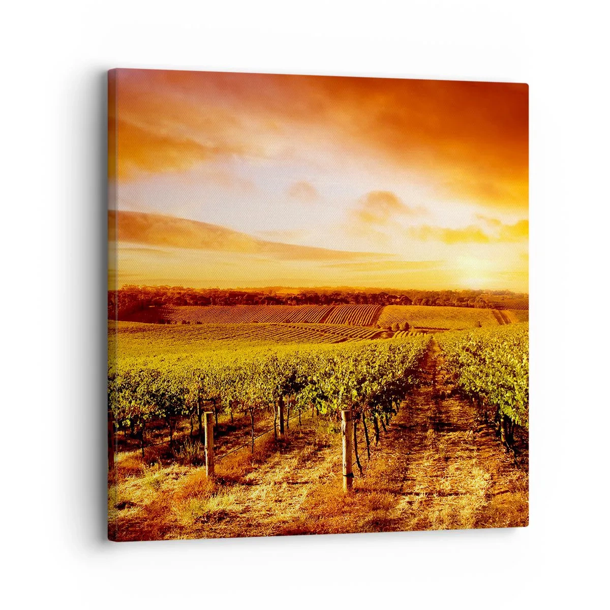 Bild auf Leinwand - Leinwandbild - Leicht fruchtig mit einem Hauch Sonnenschein - 30x30 cm