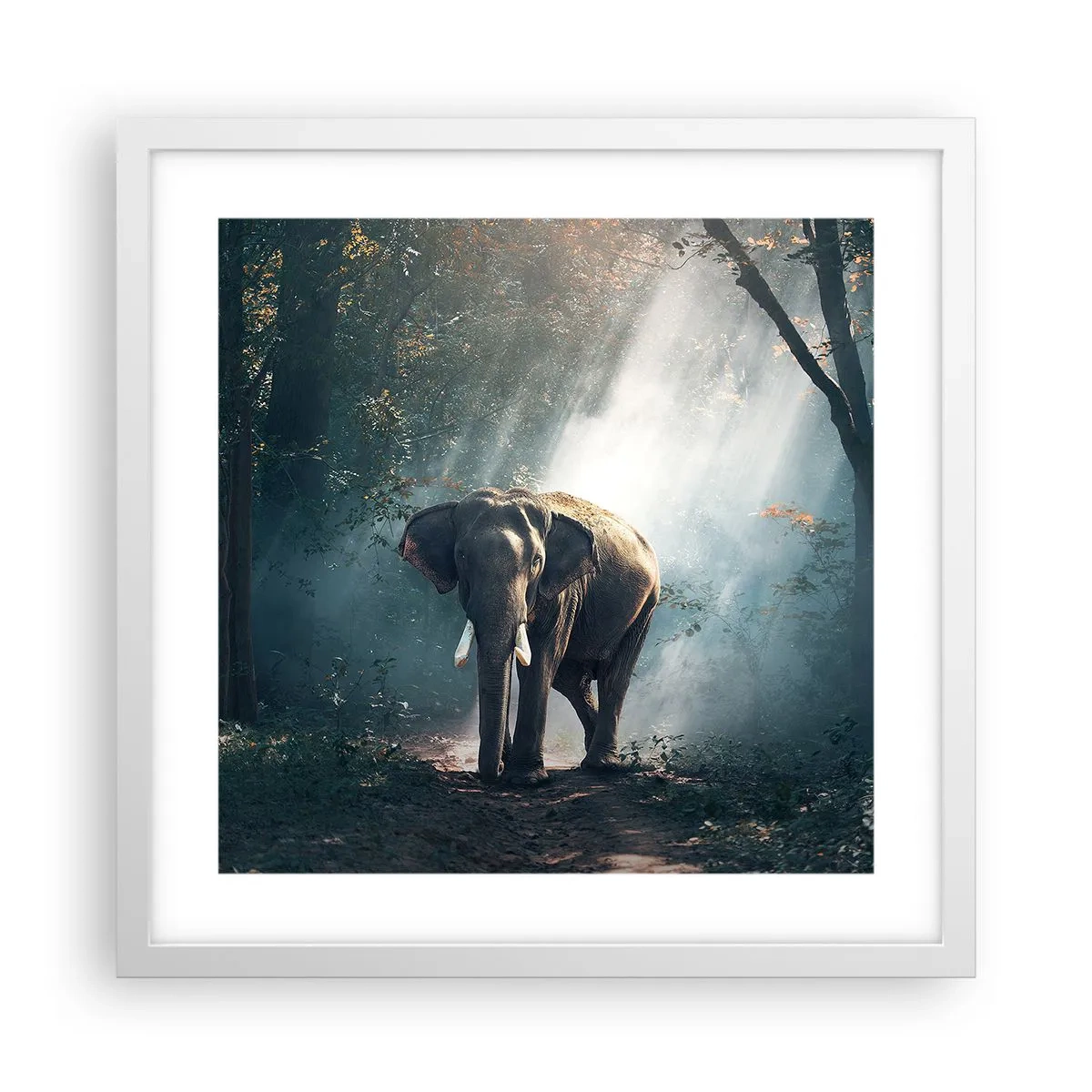 Poster in einem weißen Rahmen - Ein gemütlicher Spaziergang - 40x40 cm