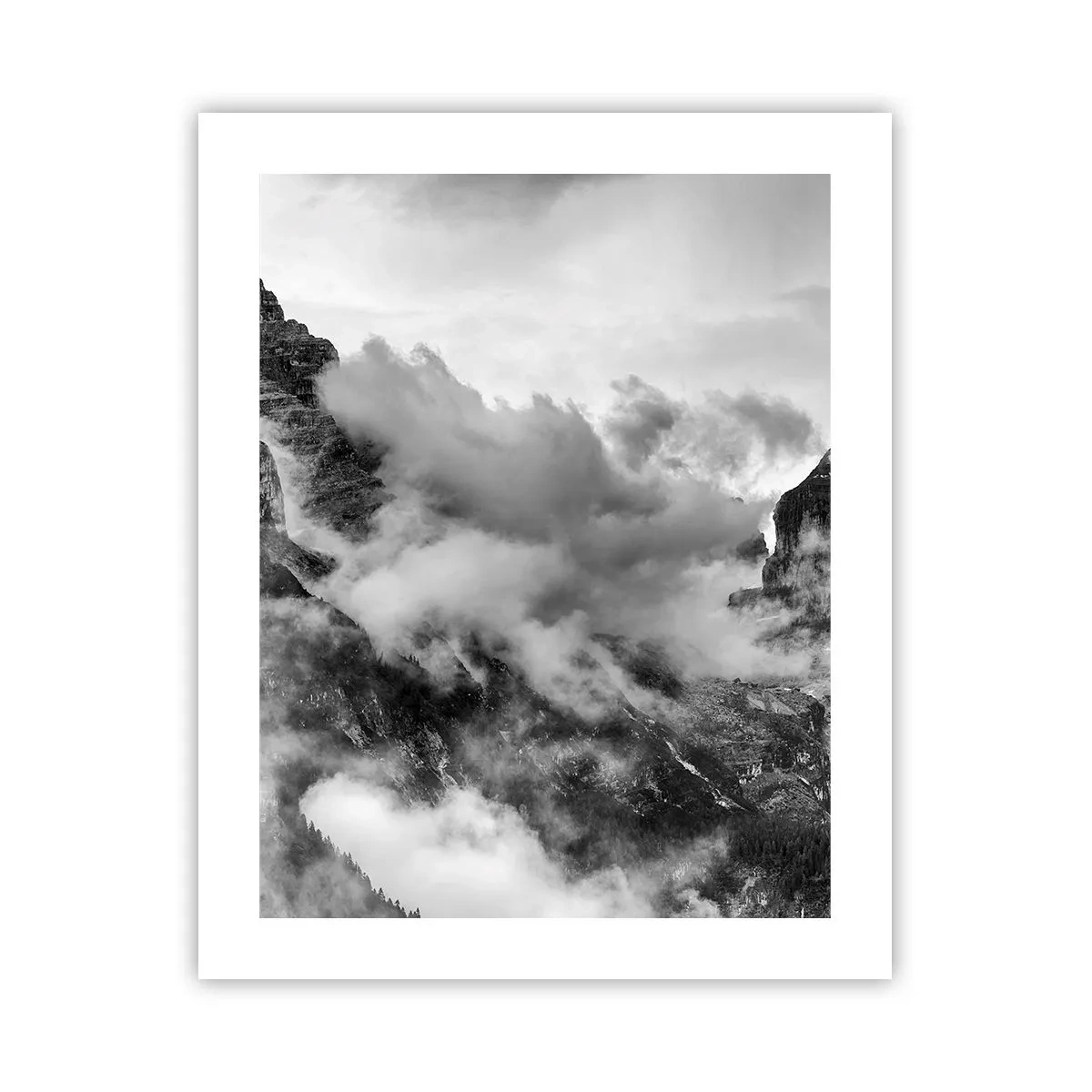 Poster - Schön und grausam - 40x50 cm