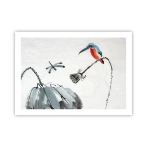 Poster - Das Leben der Wiese - 70x50 cm