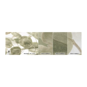 Fototapeten Muster Premium Sand - Am Anfang waren Blätter... - Blumen, Ruhig, Blätter - 100x30 cm