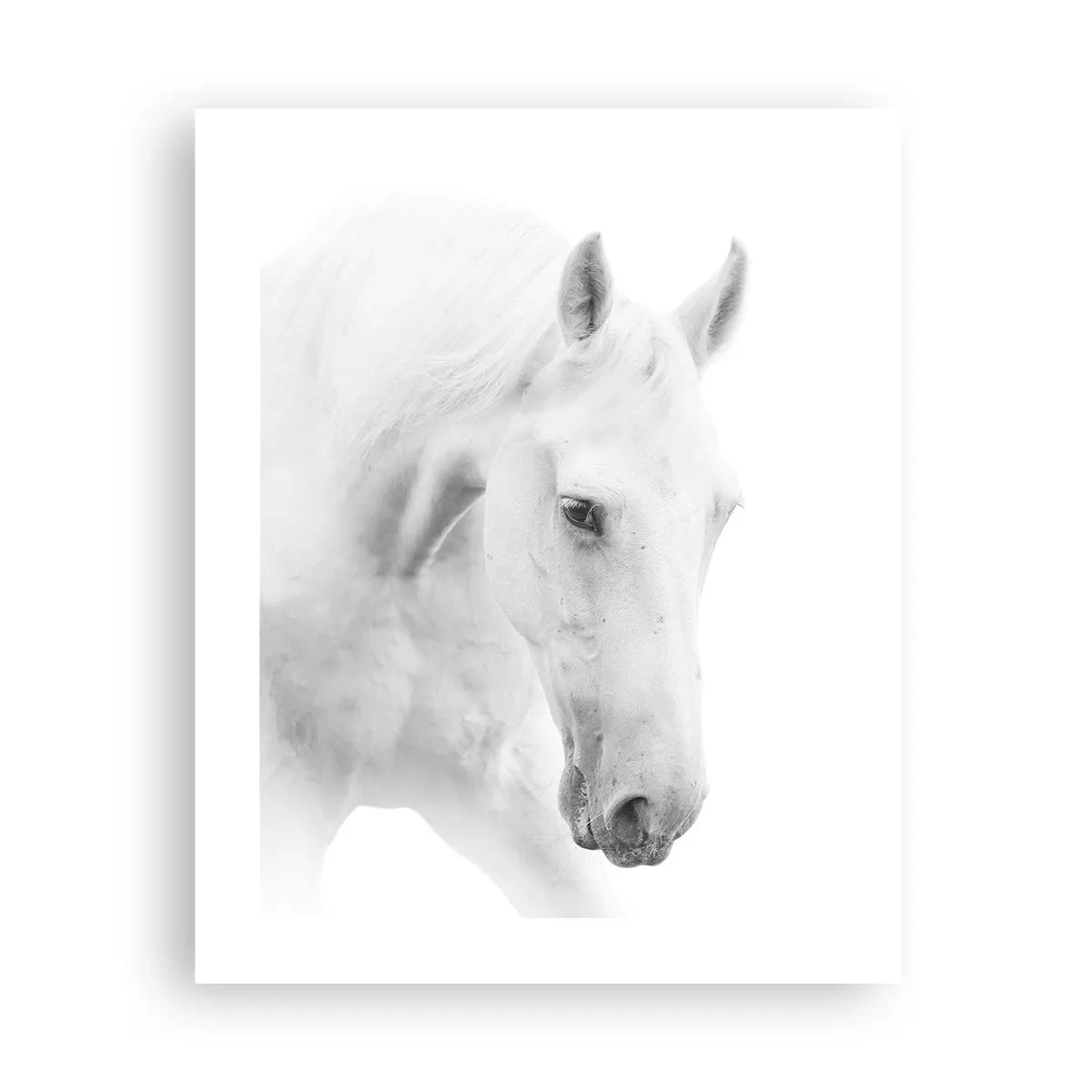Poster - Ist das Freundschaft...? - 40x50 cm