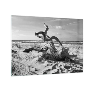 Glasbild - Bild auf glas - Eine schwarz-weiße Landschaft mit einem heruntergefallenen Ast an einem Strand am Meer. - 70x50cm - Meeresskulptur - Moderne Wanddekoration für Wohnzimmer und Schlafzimmer ARTTOR