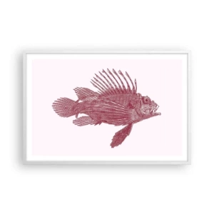 Poster in einem weißen Rahmen - Bewohner exotischer Gewässer - 91x61 cm