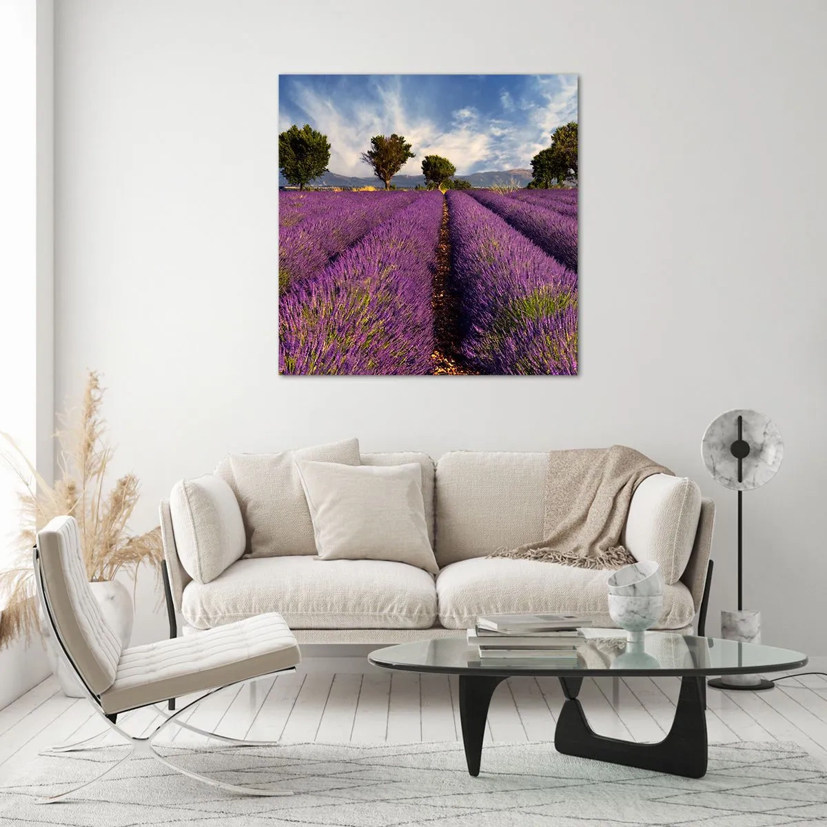 Glasbild - Bild auf glas - Lavendelfelder - 50x50 cm