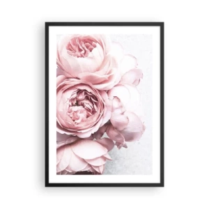 Poster in einem schwarzem Rahmen - Zarte rosa Pfingstrose Blumen Nahaufnahme - 50x70cm - Für Romantiker - Moderne Wanddekoration für Wohnzimmer und Schlafzimmer ARTTOR