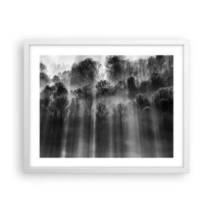 Poster in einem weißen Rahmen - In Lichtstrahlen - 50x40 cm