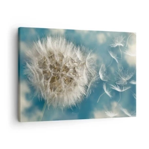 Bild auf Leinwand - Leinwandbild - Ein verwelkter Löwenzahn vor blauem Himmel - 70x50cm - Engelsatem - Moderne Wanddekoration für Wohnzimmer und Schlafzimmer ARTTOR