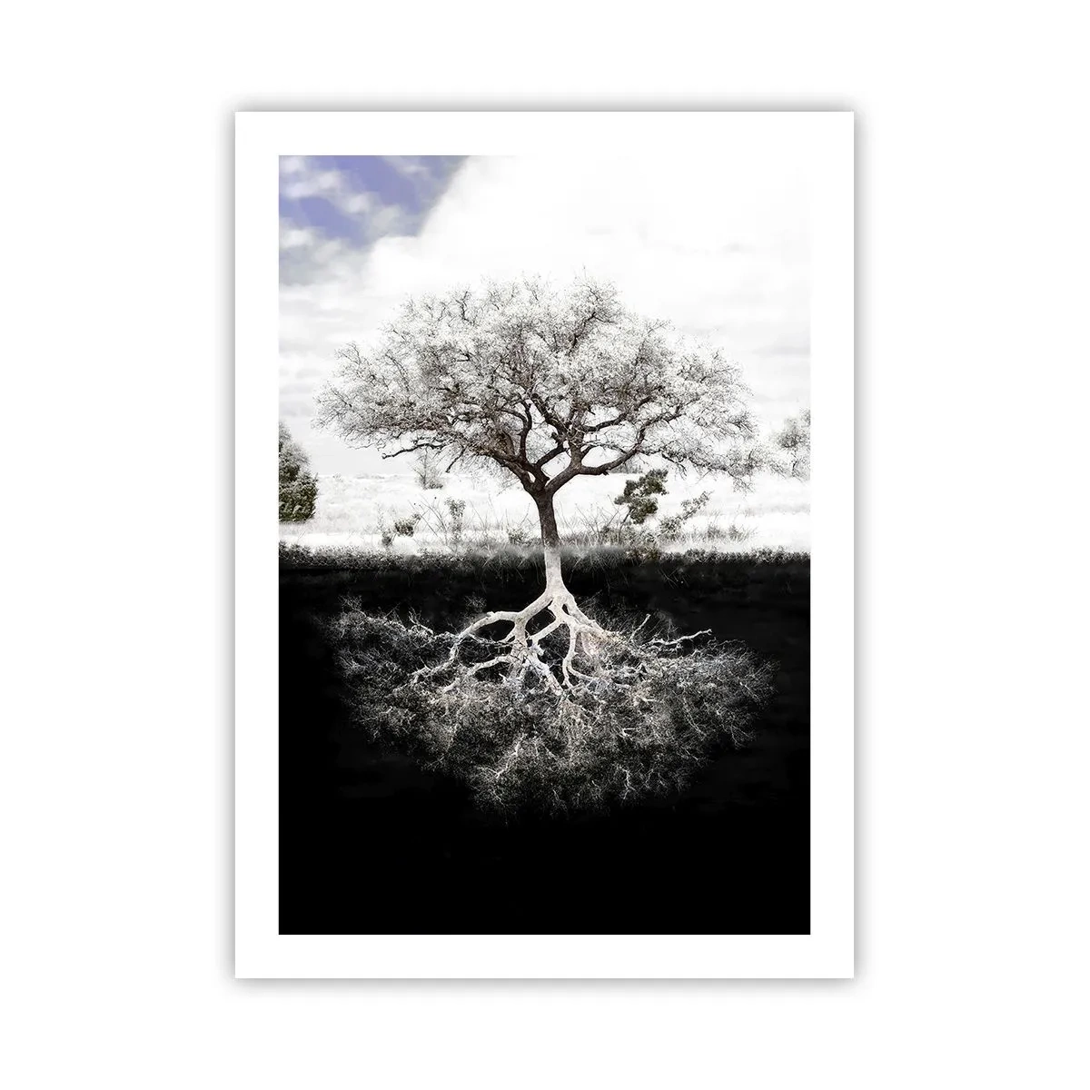 Poster - Ein minimalistischer Baum mit sichtbarem Wurzelsystem - 50x70cm - Die Natur der Welt entdecken - Moderne Wanddekoration für Wohnzimmer und Schlafzimmer ARTTOR