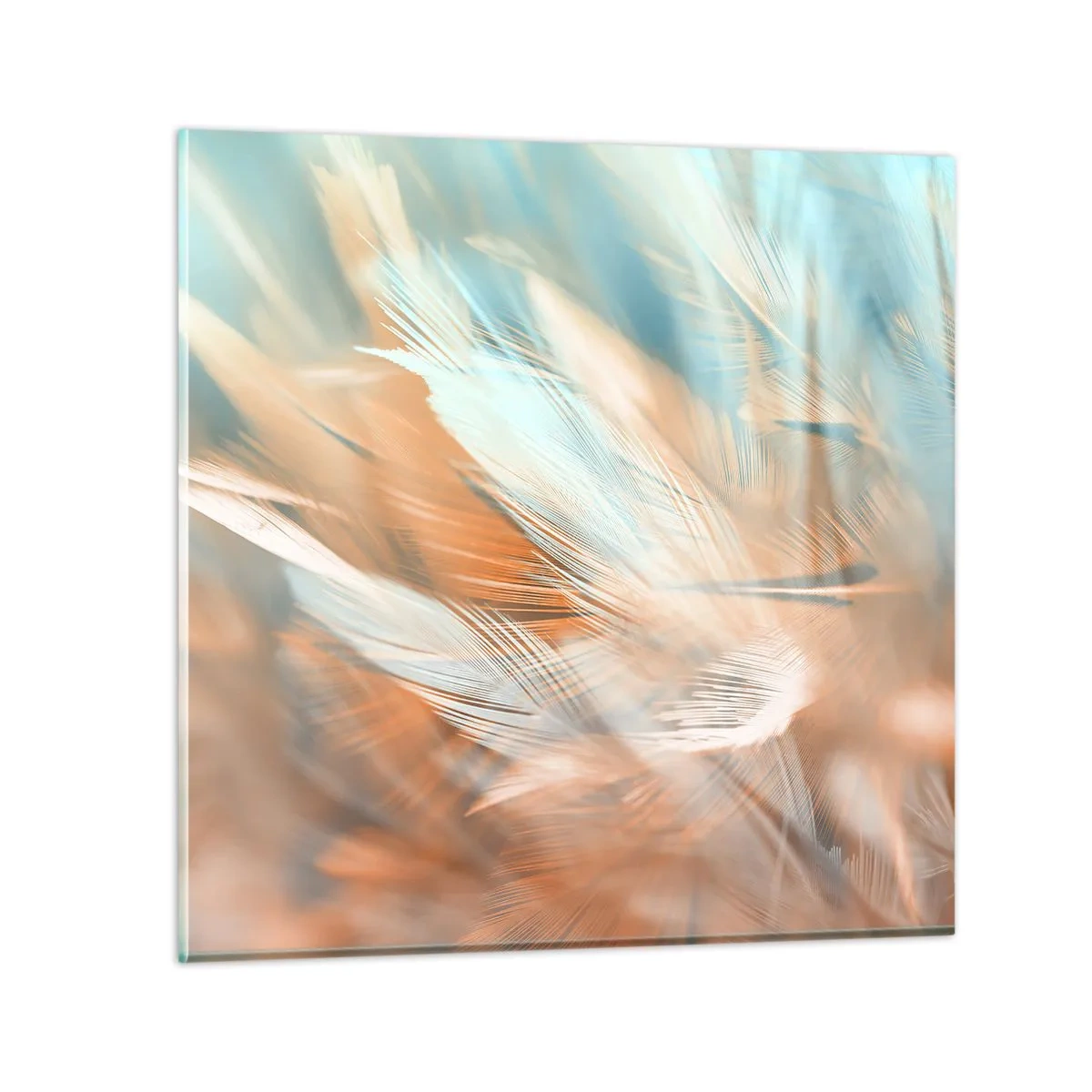 Glasbild - Bild auf glas - Im Land der Sanftmut - 70x70 cm