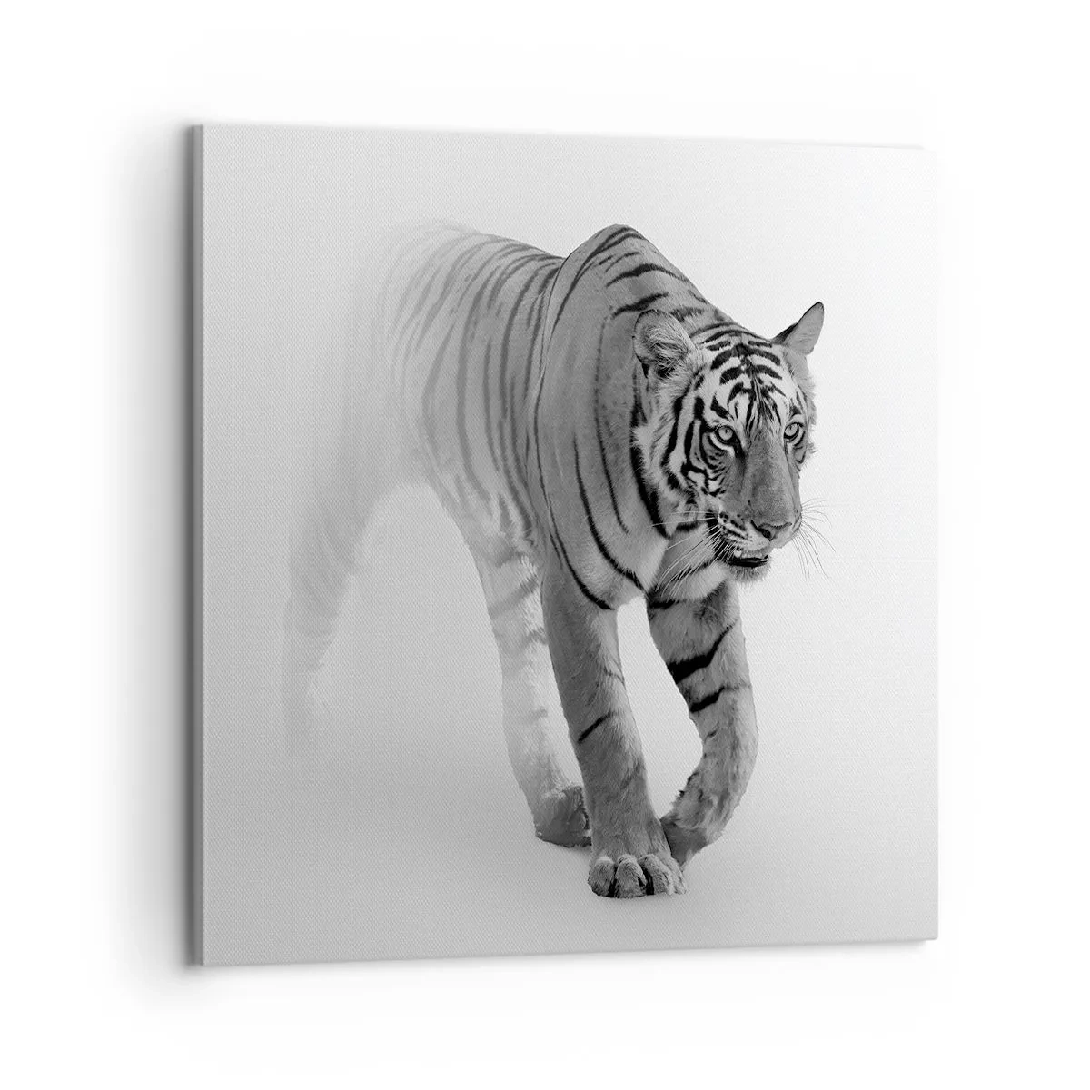 Bild auf Leinwand - Leinwandbild - Im Nebel gelauert - 60x60 cm