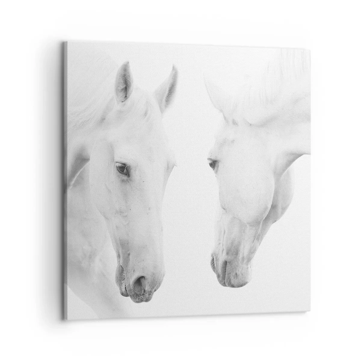 Bild auf Leinwand - Leinwandbild - Ist das Freundschaft...? - 50x50 cm