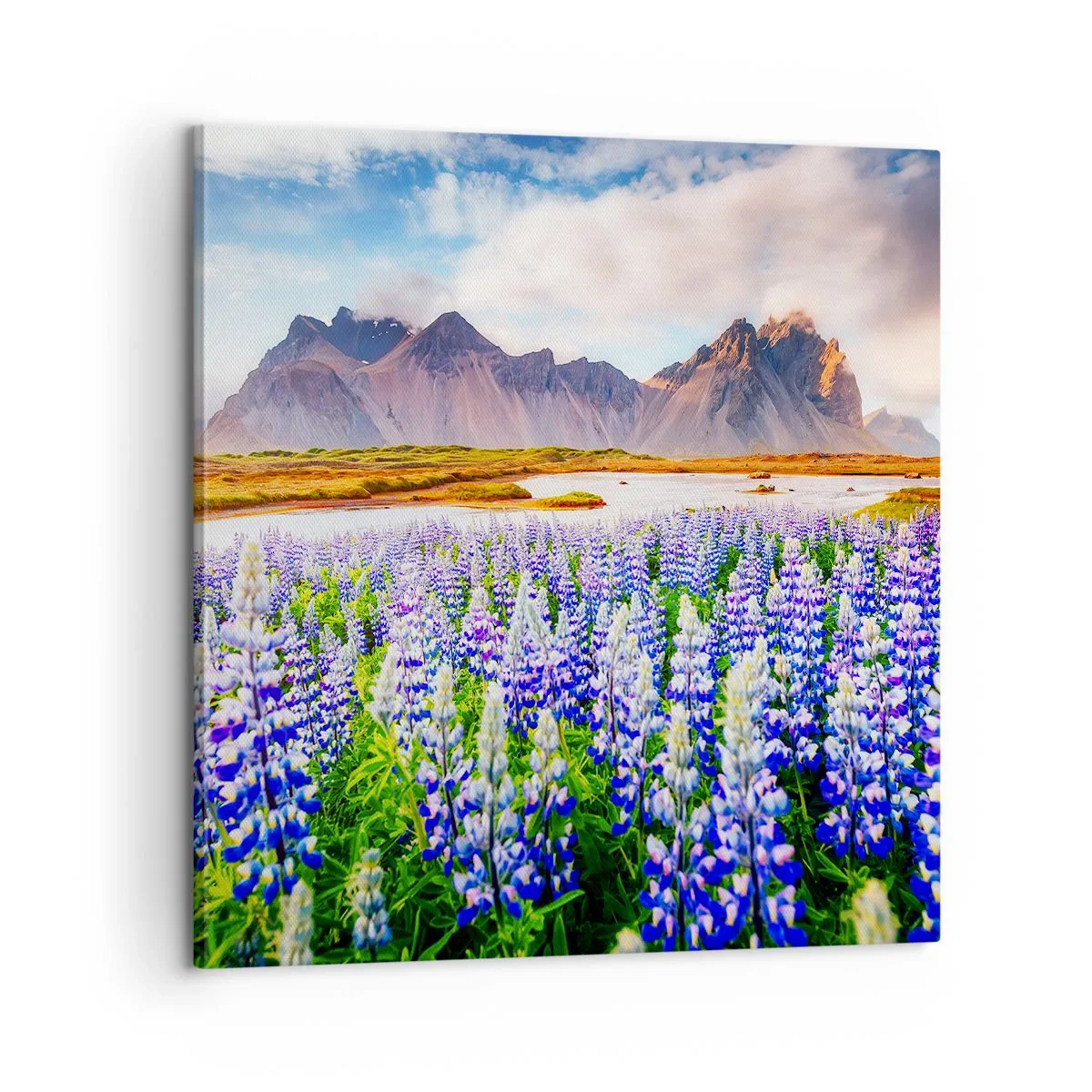 Bild auf Leinwand - Leinwandbild - Kraft und Strenge neben Sanftmut - 60x60 cm