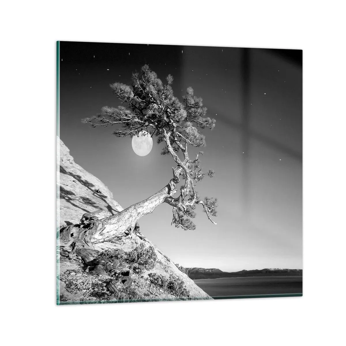 Glasbild - Bild auf glas - Siegreiche Kämpferin - 50x50 cm