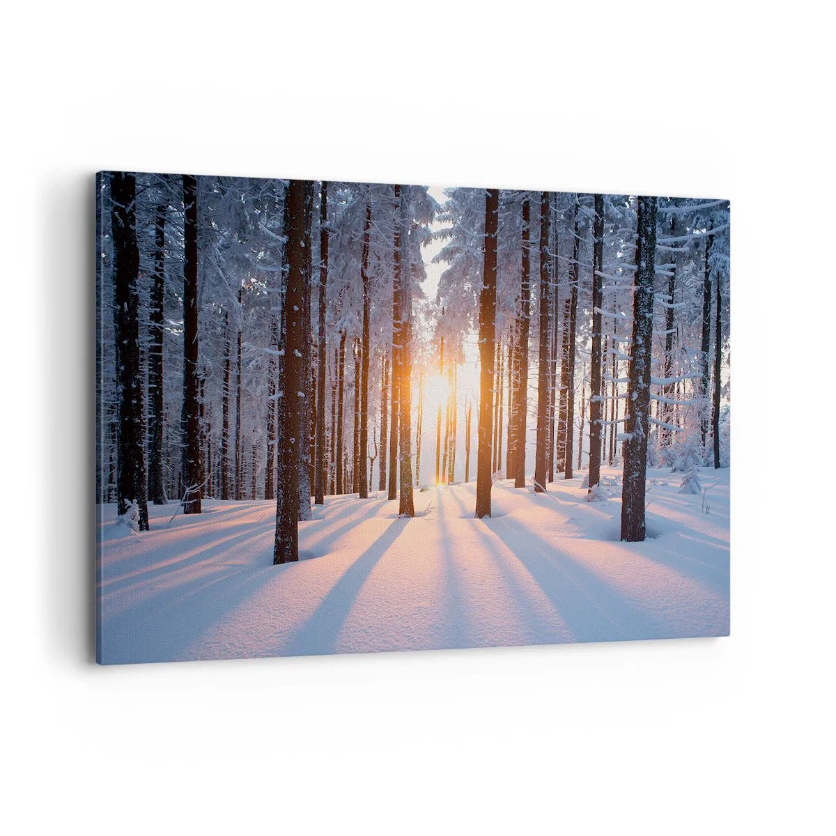 Bild auf Leinwand - Leinwandbild - Winterwald, beleuchtet von den Sonnenstrahlen - 120x80cm - Ganz klar schwarz auf weiß - Moderne Wanddekoration für Wohnzimmer und Schlafzimmer ARTTOR