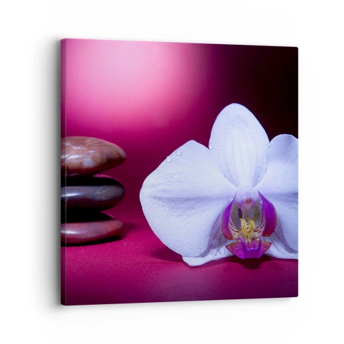 Bild auf Leinwand - Leinwandbild - Eine Studie der Frische in Lila - 30x30 cm