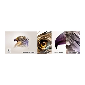 Fototapeten Muster Selbstklebend Deluxe Sticker - Porträt eines Kriegers - Abstraktion, Adler, Vogel - 100x30 cm