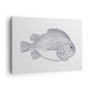 Bild auf Leinwand - Leinwandbild - Schwarz-weiße Zeichnung eines Fisches auf weißem Hintergrund im minimalistischen Stil - 70x50cm - Für das Album des Naturforschers - Moderne Wanddekoration für Wohnzimmer und Schlafzimmer ARTTOR