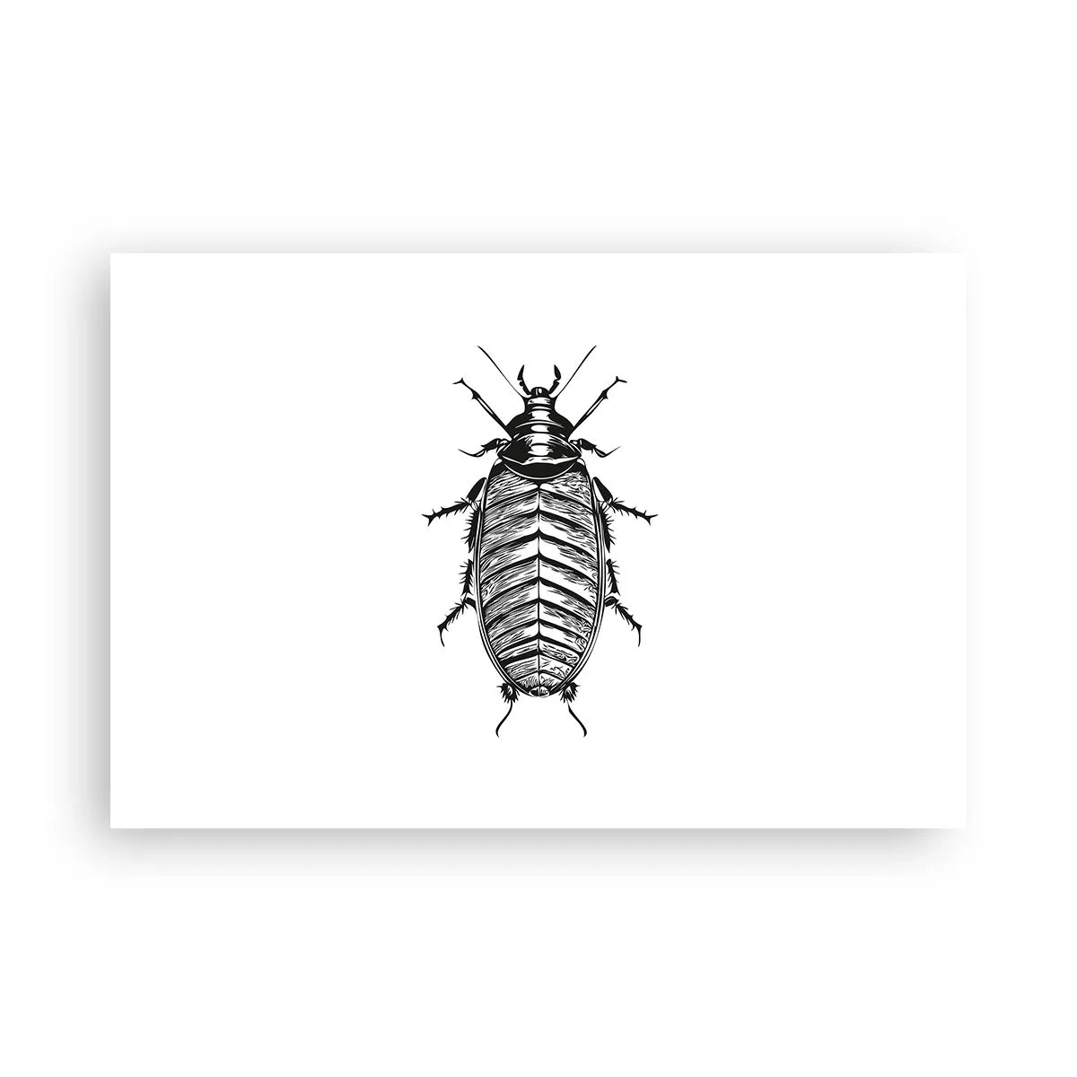 Poster - Was für ein Exemplar! - 91x61 cm