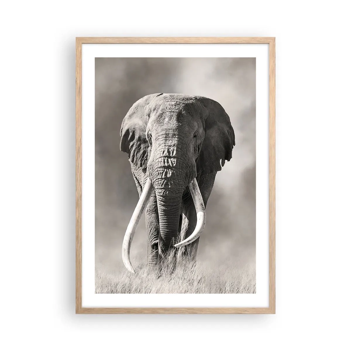 Poster in einem Rahmen aus heller Eiche - Afrikanischer Patriarch - 50x70 cm