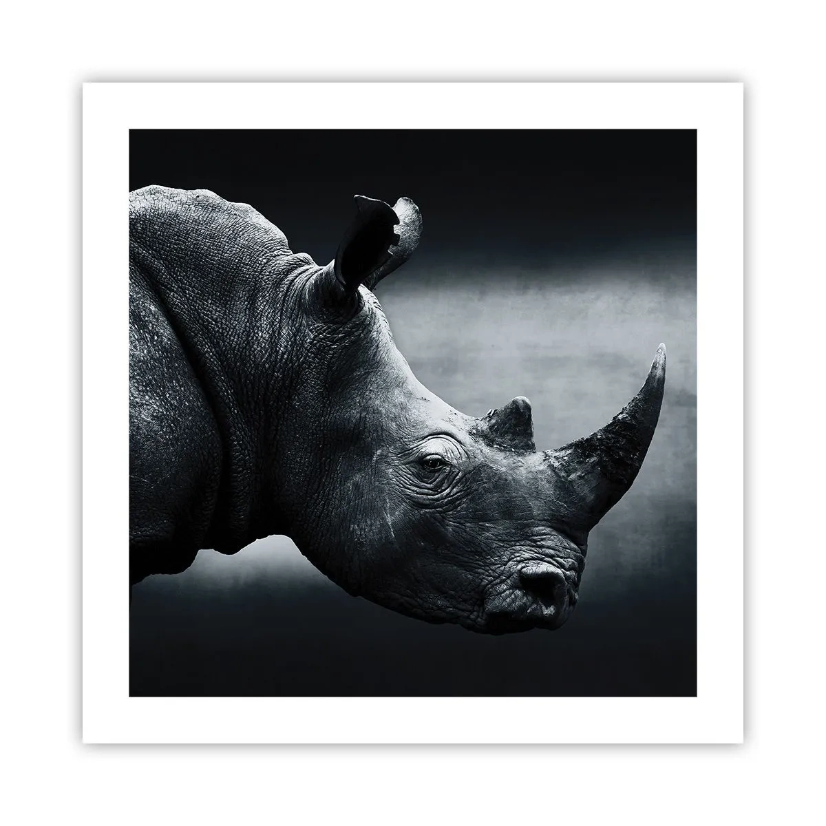 Poster - Richtiges Profil - 50x50 cm