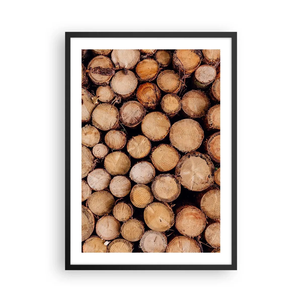 Poster in einem schwarzem Rahmen - Natürlich geschnittene Baumstämme in kunstvoller Anordnung - 50x70cm - Ein neuer Anfang - Moderne Wanddekoration für Wohnzimmer und Schlafzimmer ARTTOR